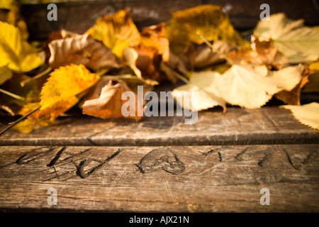 Ewige Liebhaber Stockfoto