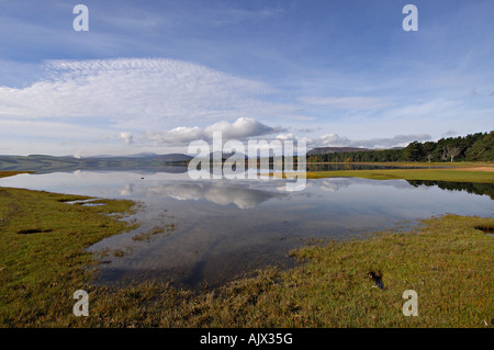 Beruhigen, seichten Wasser des Loch-Flotte mit bewaldeten Ufern und fernen niedrige Hügel oberhalb Cambusavie Osten Sutherland Nordschottland Stockfoto