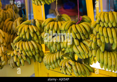 Marokko, Atlantikküste, TAMRI: Lokale Bananen zu verkaufen Stockfoto