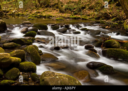 Stromschnellen und Felsen im kleinen Nebenfluss Strom von Laurel Creek, Great Smoky Mountains National Park, Tennessee, USA Stockfoto
