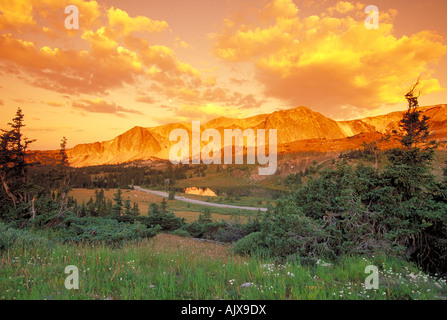 Elk264 1399 Wyoming Medizin Bow Berge Snowy Range Scenic Byway See Marie Stockfoto