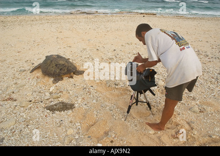 Kameramann Andre Couture filmt eine grüne Schildkröte Chelonia Midas Rückkehr zum Meer nach Verlegung Gielop Insel Ulithi Atoll Yap Eiern Stockfoto