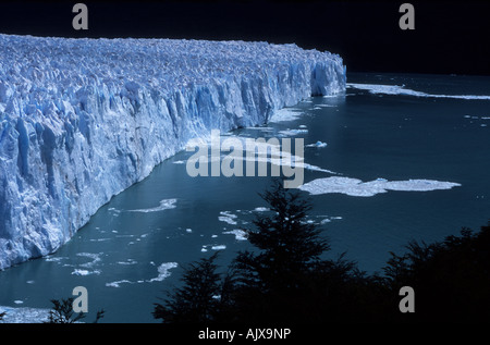 Perito Moreno Glacier, Nothofagus Südbuchenwald und Lago Argentino, in der Nähe von El Calafate, Patagonien, Argentinien Stockfoto