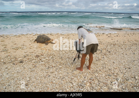 Kameramann Andre Couture filmt eine grüne Schildkröte Chelonia Midas Rückkehr zum Meer nach der Eiablage Stockfoto