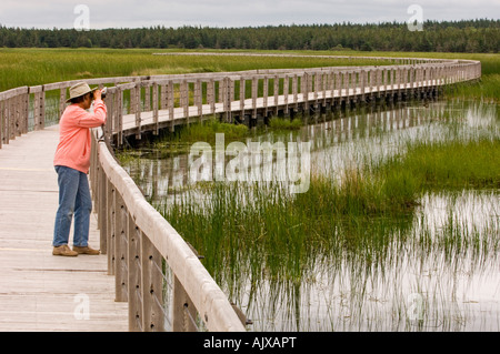 Holzsteg über Bowley Teich mit Besucher, Prince Edward Island National Park (Greenwich) Stockfoto