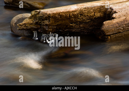 Morgen-Eis in Bach über Sparks Lane, Great Smoky Mountains National Park, Tennessee, USA Stockfoto