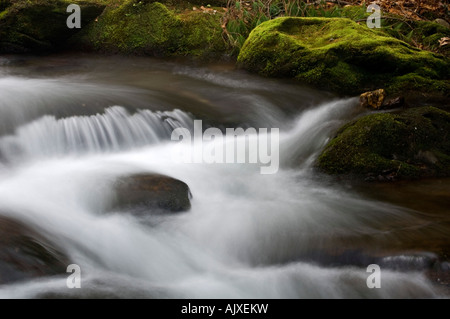 Stromschnellen und Felsen im kleinen Nebenfluss Strom von Laurel Creek, Great Smoky Mountains National Park, Tennessee, USA Stockfoto