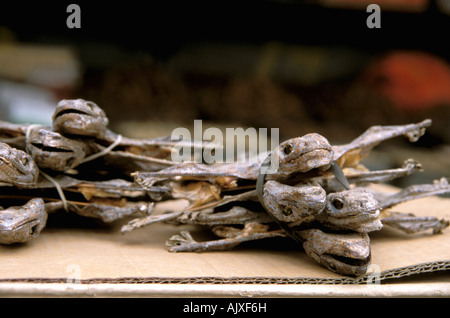 Asien, China, Xian. Traditionellen Kräutermarkt - getrocknete Eidechsen als Medizin verkauft Stockfoto