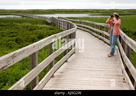 Holzsteg über Bowley Teich mit Besucher, Prince Edward Island National Park (Greenwich) Stockfoto