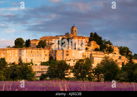 Dorf von Banon betrachtet über Lavendel in den frühen Morgenstunden Licht Provence Frankreich Stockfoto