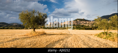 Italien-Umbrien-Blick auf Assisi Stockfoto