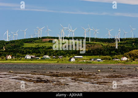 Windkraftanlagen mit Blick auf Häuser entlang der Küste von St.-Lorenz-Golf, rungen QC, Kanada Stockfoto
