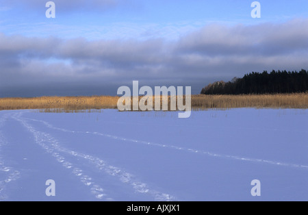 Spuren im Schnee auf dem See im lettischen Landschaft Kurzeme geschlagen Stockfoto