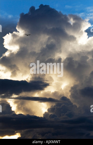 Gewitterwolke "layers" Landschaft. Indien Stockfoto