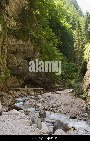 Holzbrücken auf Schlucht wandern im Canyon Martuljek Fluss im "Triglav National Park' in den Julischen Alpen in Slowenien Sommer Stockfoto