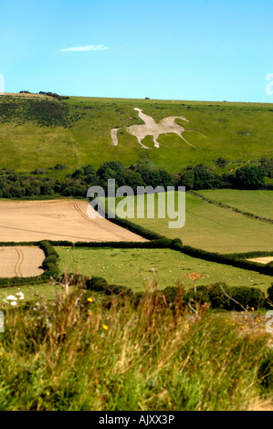 Weißes Pferd, Osmington in der Nähe von Weymouth, Dorset UK Stockfoto