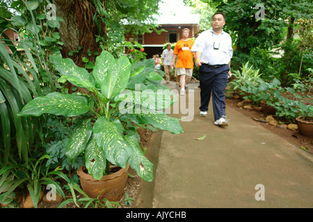 Wang Pho Thailand 2006 Stockfoto