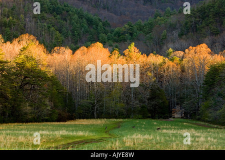 John Oliver historischen Hütte in Cades Cove, Great Smoky Mountains National Park, Tennessee, USA Stockfoto