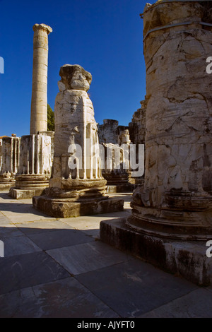 Tempel des Apollo, Türkei Stockfoto