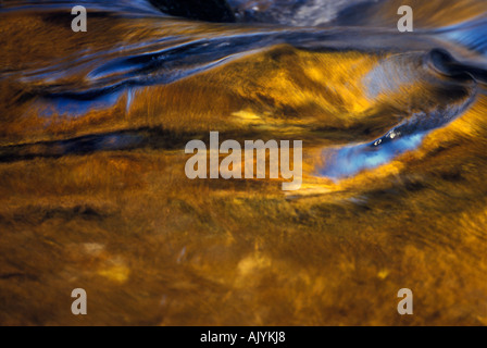 Herbstliche Farben spiegelt sich in einem Bach in Quebec Kanada Stockfoto