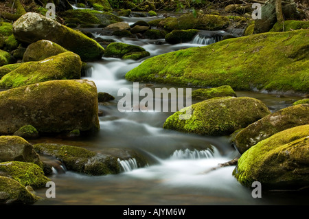 Moosigen Kaskade im Roaring Fork Stream, Great Smoky Mountains National Park, Tennessee, USA Stockfoto