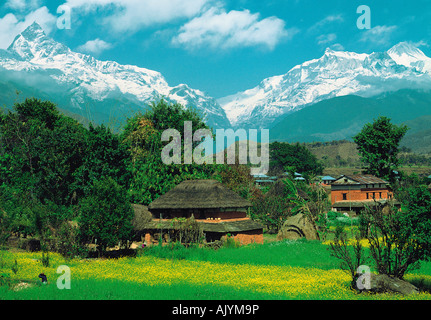Reisen, Nepal, Himalaya, Dorf in der Nähe von Pokhara, Stockfoto