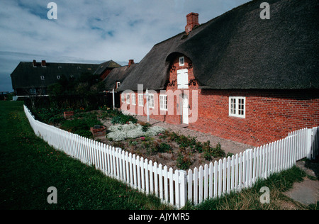 Reed gedeckten Haus / Friesenhaus / Rieddachhaus Stockfoto