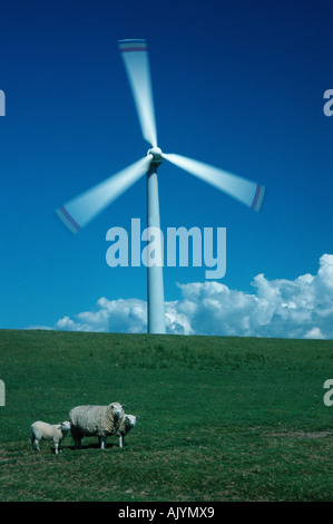 Wind-Mühle / Wind Turbine / Windrad / Windkraftrad Stockfoto