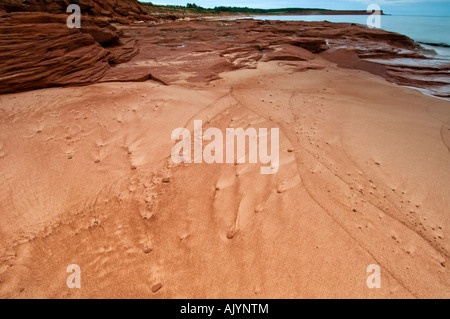 Strand Sand und rote Felsen mit Abfluss Mustern, Campbells Cove, PE/PEI Prince Edward Island, Kanada Stockfoto