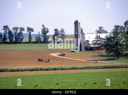 Eine amische Bauer treibt sein Pferd gezeichneten Wagen in einem Feld in der Nähe seiner farm Stockfoto