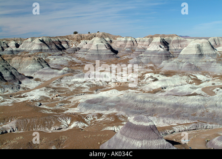 Ansicht der versteinerte Wald von Blue Mesa Trail Petrified Forest National Park Arizona USA Amerika USA Stockfoto