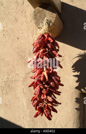 Chilis Trocknen in der Sonne vor dem Haus in Amerika Pueblo Taos New Mexico USA Stockfoto