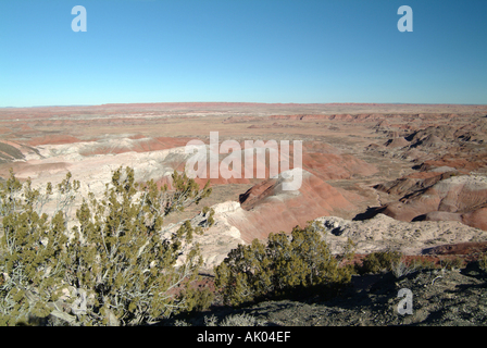 Ansicht der Painted Desert von Tawa Punkt Arizona USA Amerika USA Stockfoto