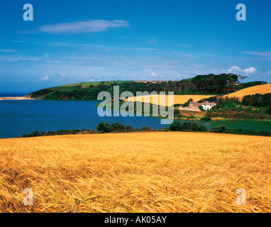 Vereinigtes Königreich. England. Cornwall. Loe Bar Süßwasserpool. Stockfoto