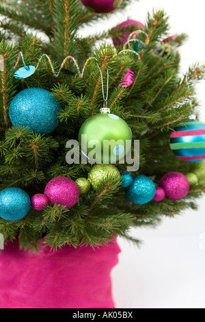 Weihnachtsbaum weißen Hintergrund Stockfoto