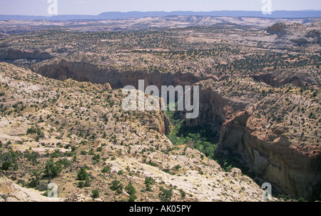 Ein Blick auf eine der vielen Slickrock Schluchten im Grand Staircase Escalante National Monument im Süden Utahs Stockfoto