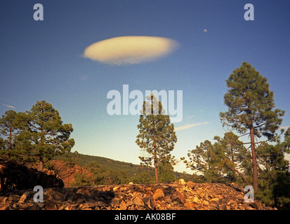 Surreale atemberaubende Landschaft Himmel kreisförmige Wolke Mond Kiefer Rock Sonne Teide Nacional Park Teneriffa Kanaren Spanien Europa Stockfoto