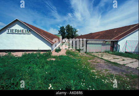 Tierheim / Eisenach / Tierheim Stockfoto