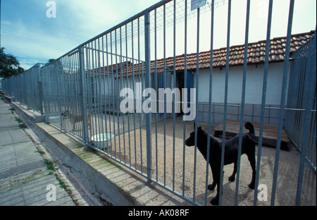 Tierheim / Eisenach / Tierheim Stockfoto