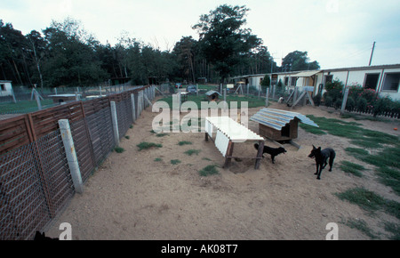 Tierheim / Eisenach / Tierheim Stockfoto