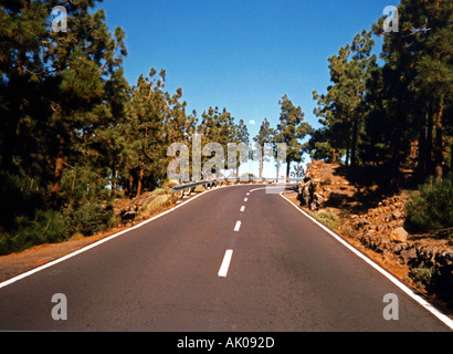 Der Weg zum Mond Suggestive Schönheit Kiefer steigen steigen Teide Nationalpark Teneriffa-Kanarische Inseln-Spanien-Europa Stockfoto