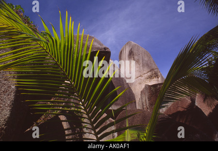 Palmen und Granitfelsen auf Anse Source d'Argent, La Digue Island, Seychellen Stockfoto