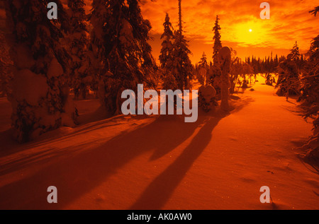 Winterlandschaft Stockfoto