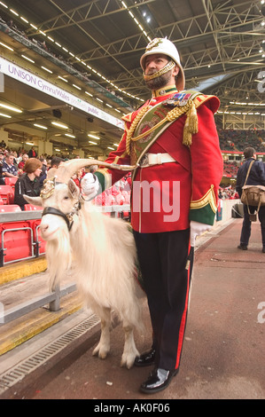 14 2 04 Cardiff Millenium Stadion Ziege Major mit Shenkin Regiments Maskottchen des königlichen Regiments des Wales Stockfoto