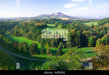 Herbstliche Landschaft Schottland Scott s blickt über den Fluss Tweed zu den herbstlichen Eildon Hills in der schottischen Grenzen UK Stockfoto