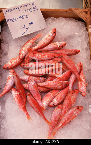 Fische auf Eis / Athen / Fisch Auf Eis Stockfoto