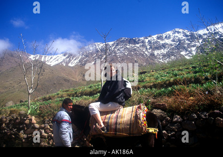 Junge Frau auf einem Maultier trekking im Atlas-Gebirge im Frühjahr in der Nähe von Imlil und der Jebel Toubkal und Jebel Oukaimeden Berg Stockfoto