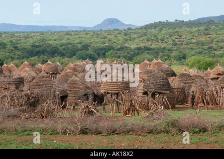 Toposa Dorf / Nyanyagachor Stockfoto