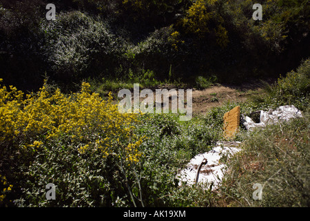 Spanien, schmutzig Müll in die Landschaft geworfen Stockfoto