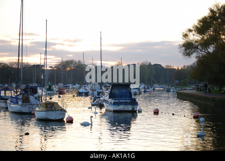 Hafenblick, Christchurch, Dorset, England, Großbritannien Stockfoto